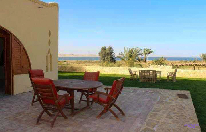 A terrace with red chairs looking over the lawn at the lodge in Faiyum