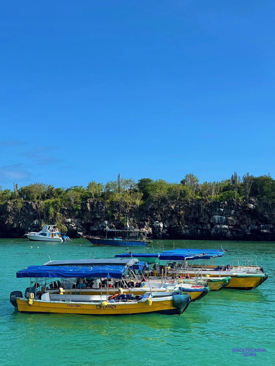 Water taxis moored in a Galapagos harbour