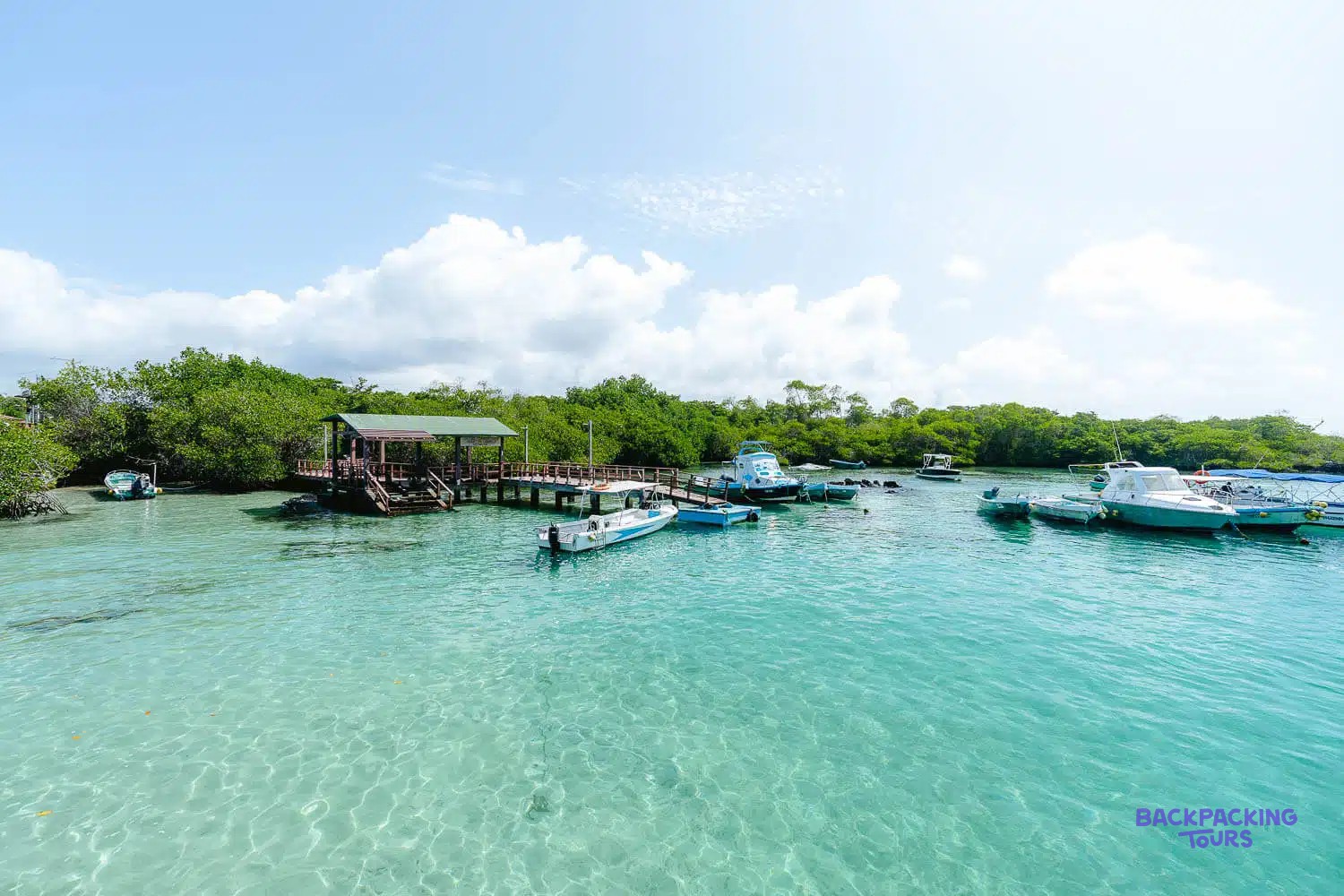Mangrove lagoon and boardwalk at Concha Perla