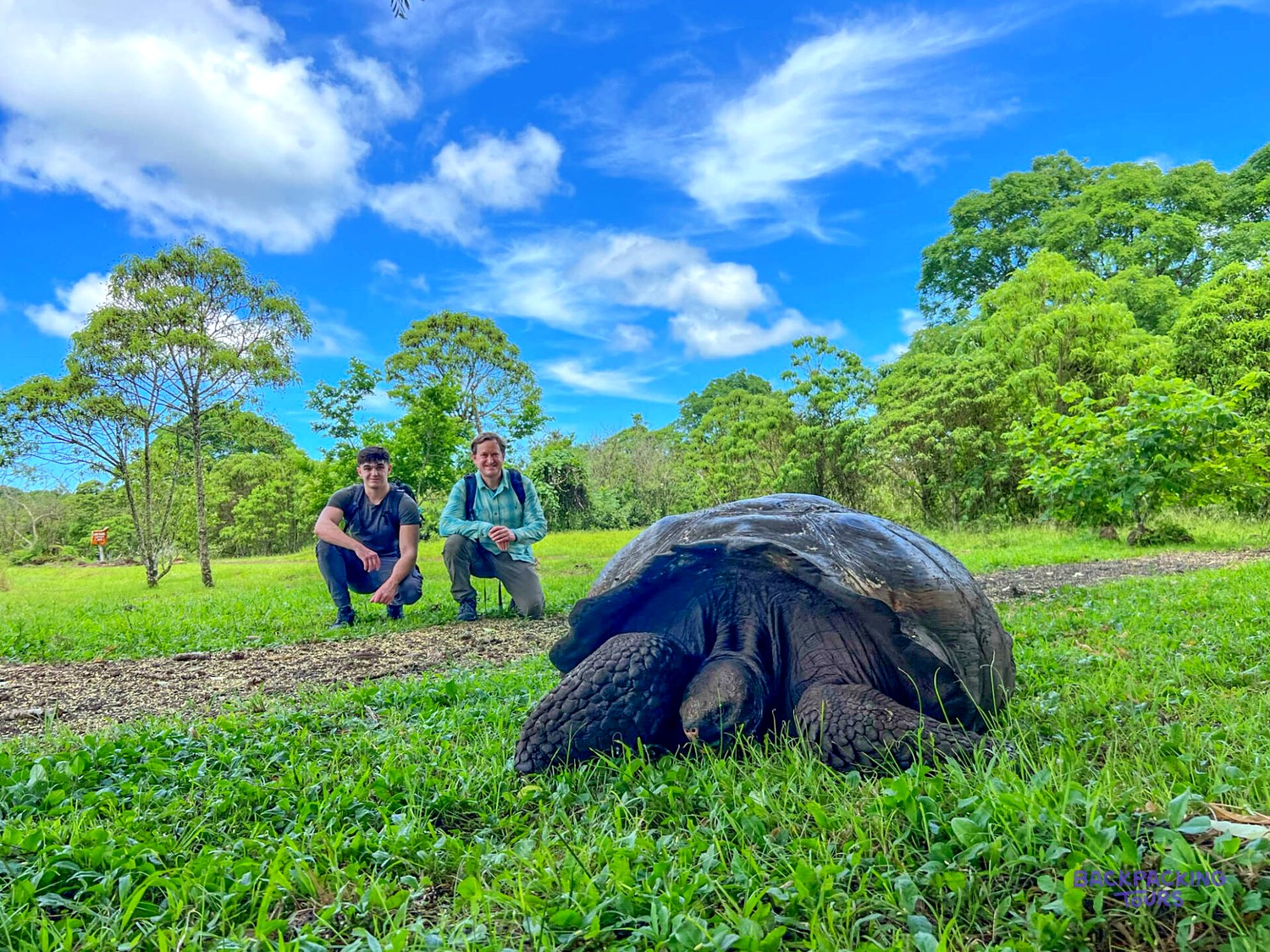 Travellers meeting a giant tortoise in the Santa Cruz highlands