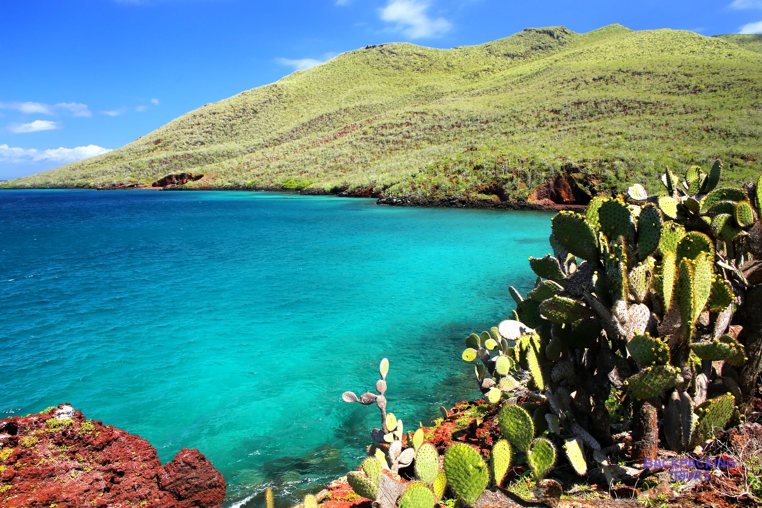 Cactus-covered headland above a turquoise Galapagos bay