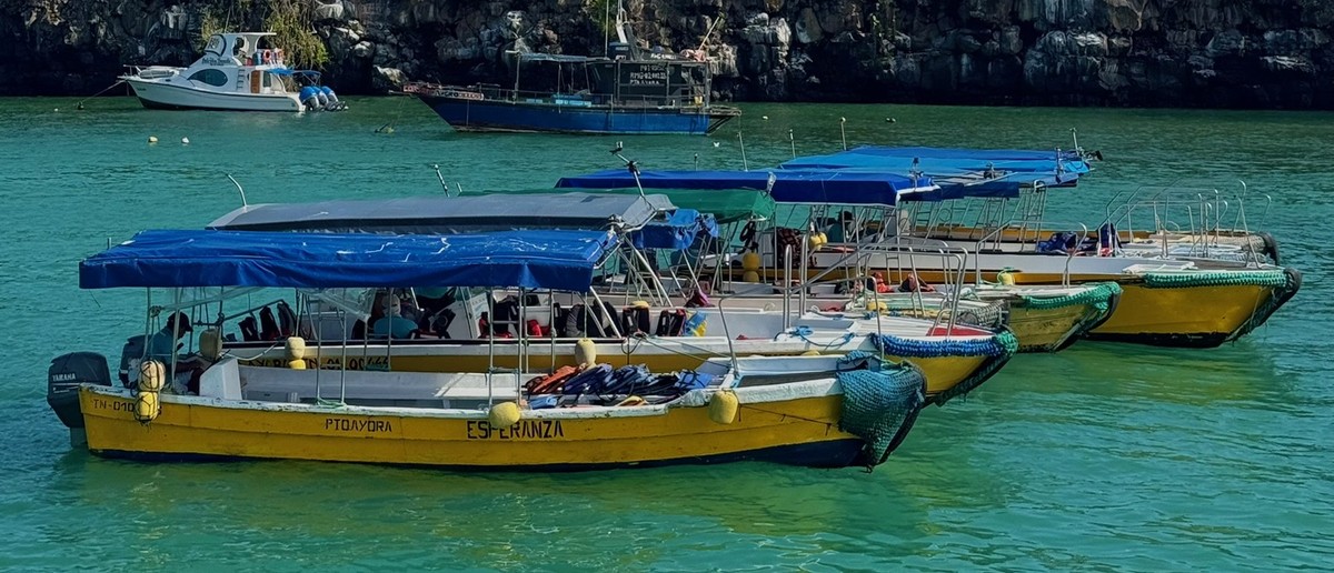 Water taxis moored in a Galapagos harbour