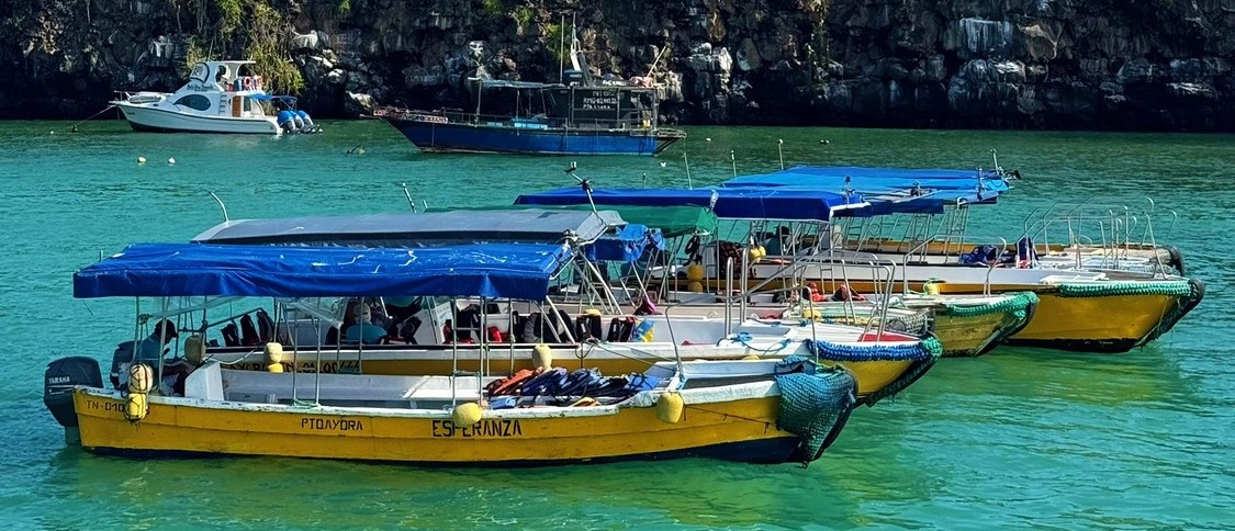 Water taxis moored in a Galapagos harbour