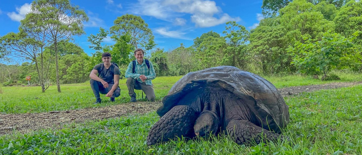 Travellers meeting a giant tortoise in the Santa Cruz highlands