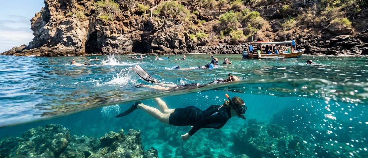 Snorkellers exploring a rocky cove in the Galapagos