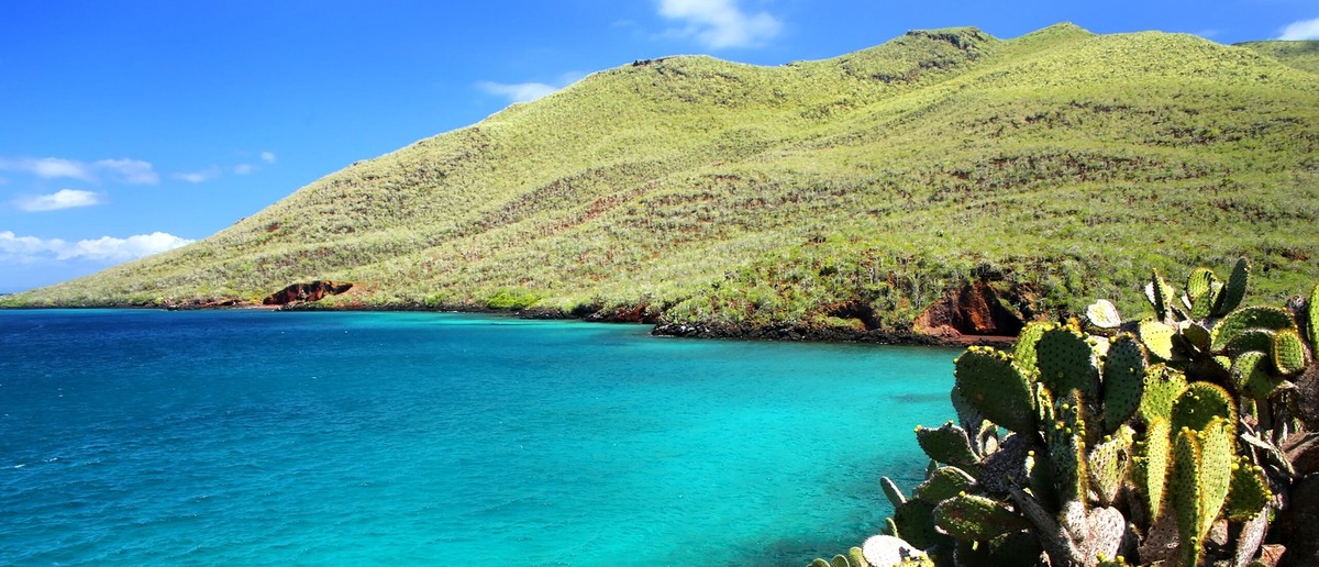 Cactus-covered headland above a turquoise Galapagos bay