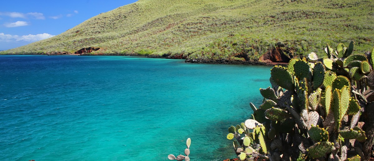 Cactus-covered headland above a turquoise Galapagos bay