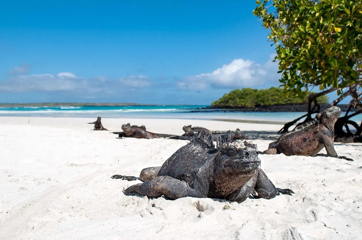 Backpacking Galapagos