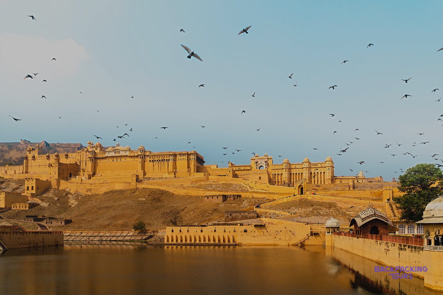 Numerous birds fly above a sprawling golden fort complex, built on a hillside next to a reflective lake.