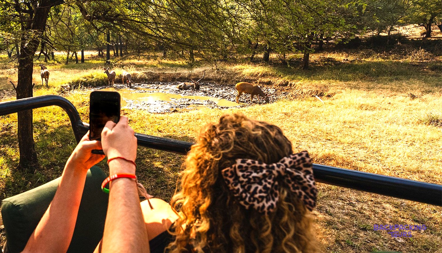 A person in a safari vehicle photographs several deer at a muddy watering hole in a dry landscape.