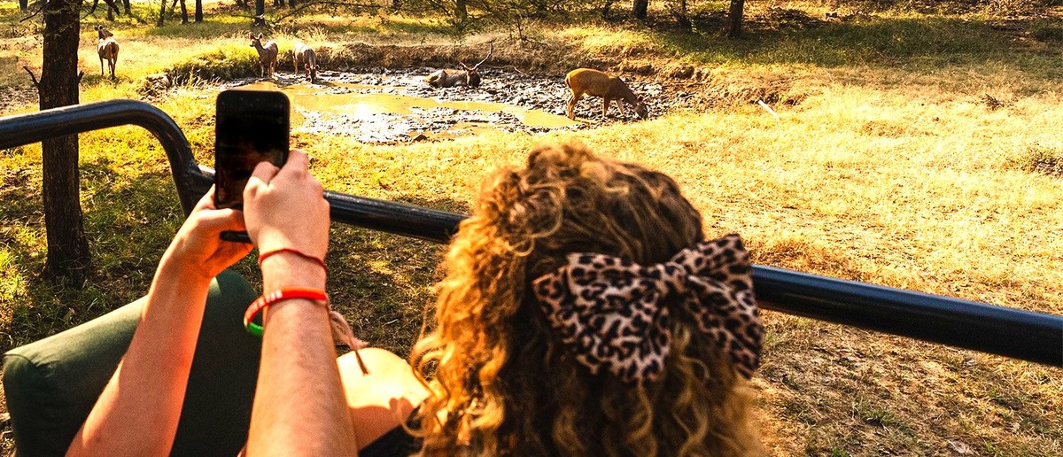 A person in a safari vehicle photographs several deer at a muddy watering hole in a dry landscape.