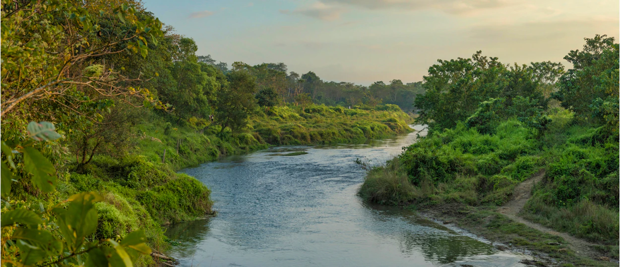 A tranquil river meanders through the dense, verdant forest of Chitwan National Park.