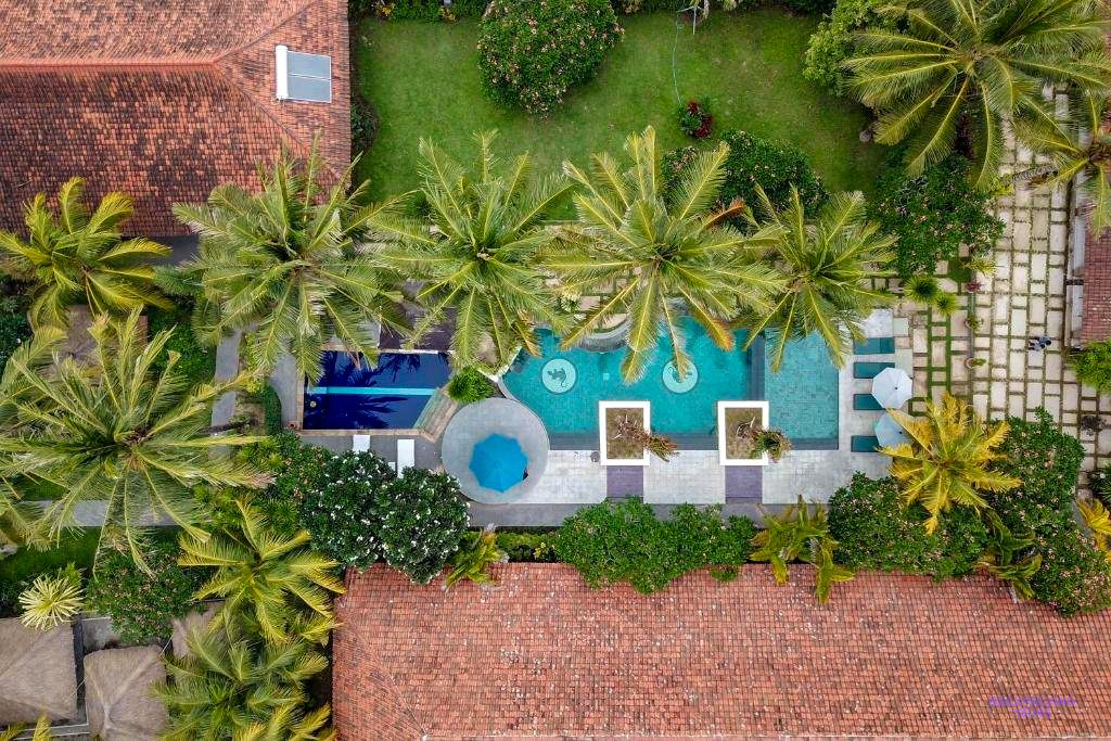 The pool and palm trees of the Lombok bungalows, seen from above