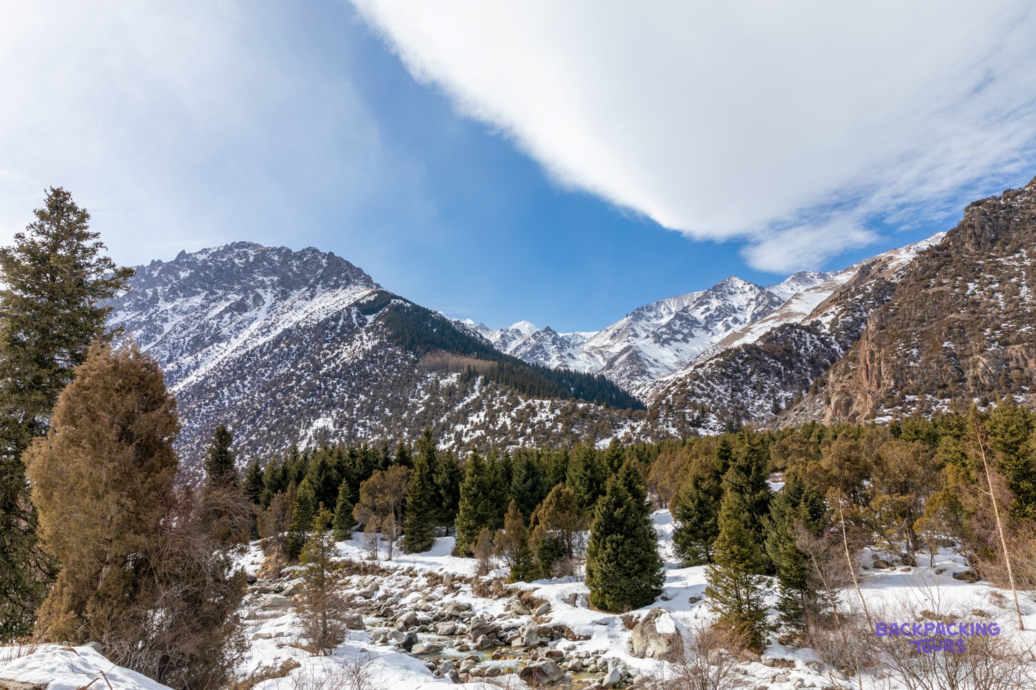 Snow-capped mountains rise behind a valley filled with evergreen trees and a rocky stream.