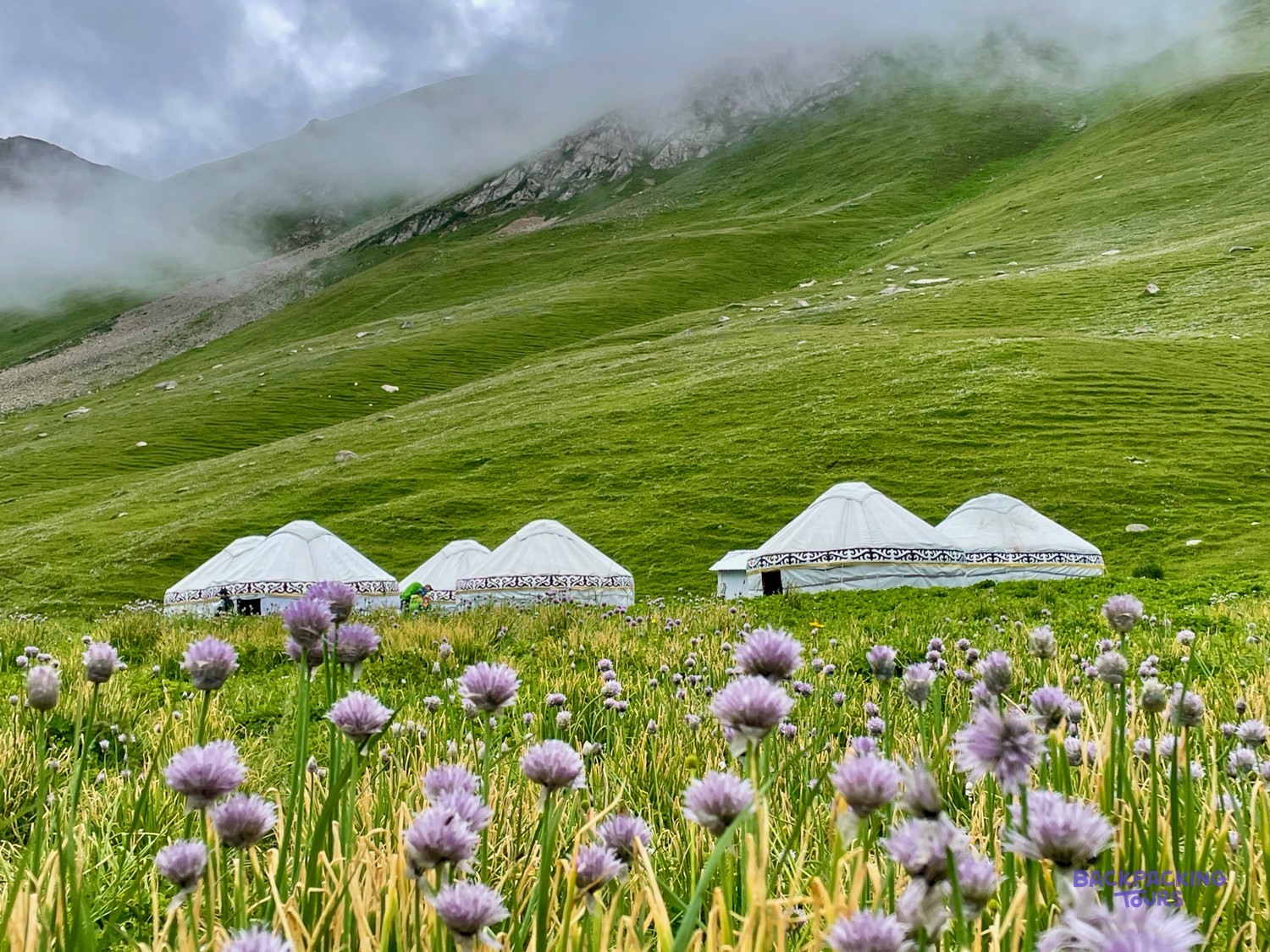 White yurts sit in a green mountain meadow with purple wildflowers under a cloudy sky.
