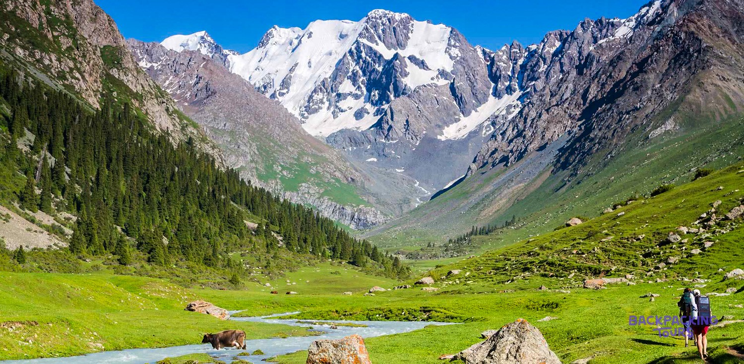 A wide mountain valley with a river, a cow, and a hiker, all beneath snow-capped peaks.