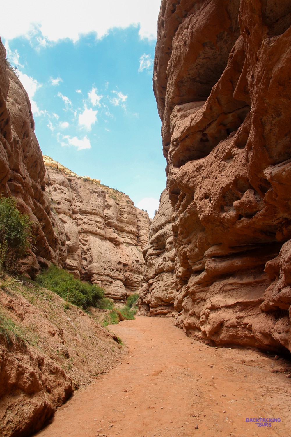 A narrow dirt path winds through a deep canyon with towering red rock walls under a blue sky.