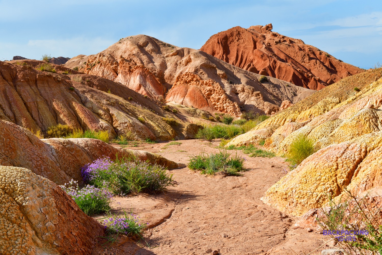 Colourful, eroded hills in shades of red, orange, and yellow frame a dirt path with small purple flowers.