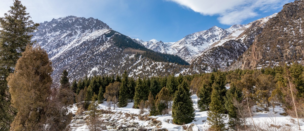 Snow-covered mountains rise behind a valley filled with evergreen trees under a blue sky.