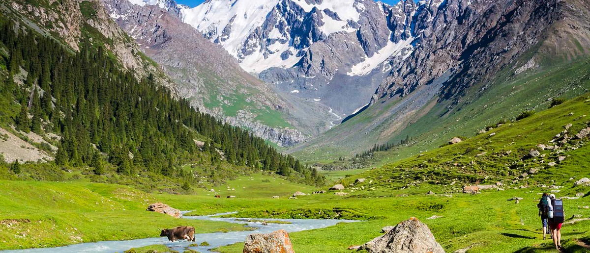 Two hikers walk along a river in a green mountain valley with pine forests and snowy peaks.