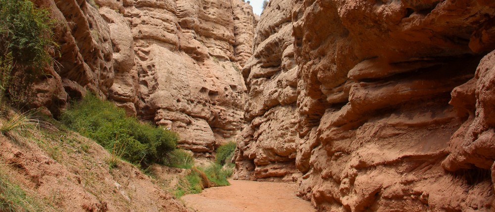 Towering reddish-brown canyon walls flank a winding dirt path with green shrubs.