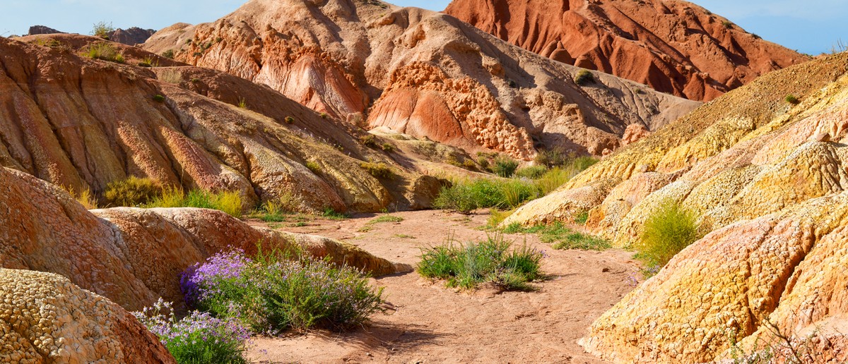 Colourful eroded hills with a dry valley floor, dotted with green bushes and purple flowers.