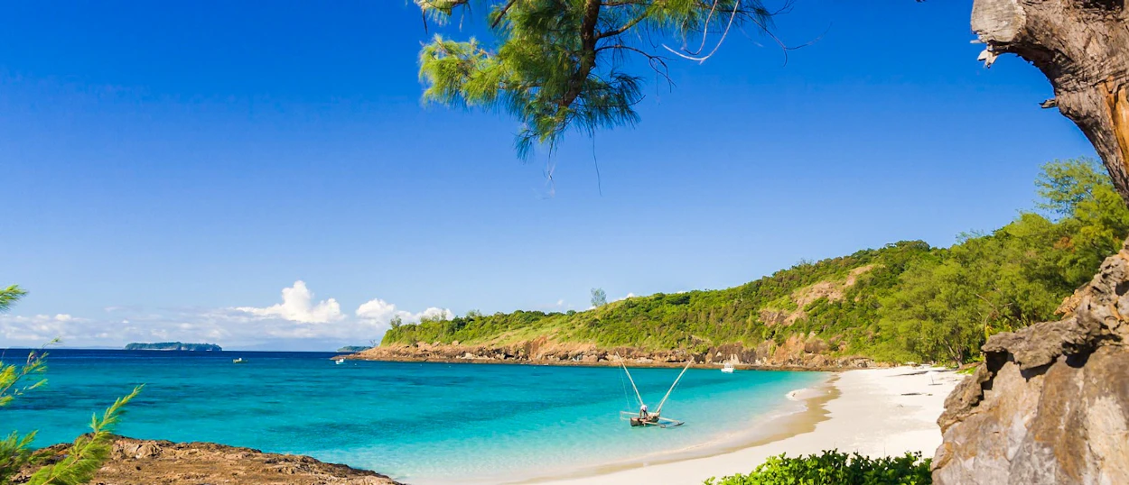 Lush green foliage frames a pristine tropical beach with clear turquoise water and white sand.