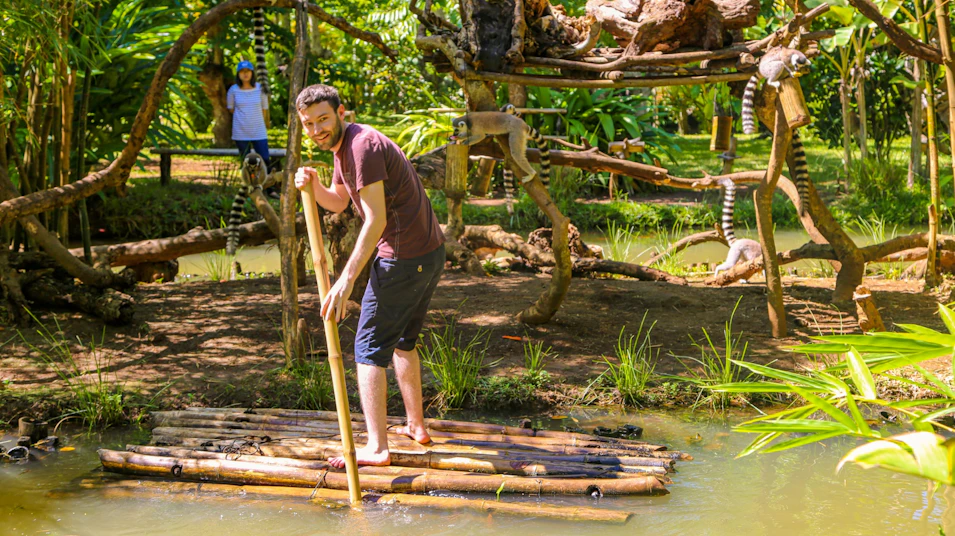 A man punts a wooden raft across water, observing lemurs on a tree structure in Madagascar.
