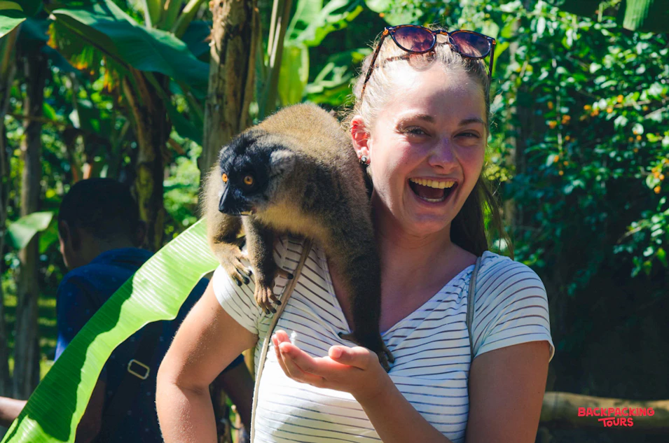 A happy woman laughs as a lemur sits on her shoulder in the lush Madagascar jungle.