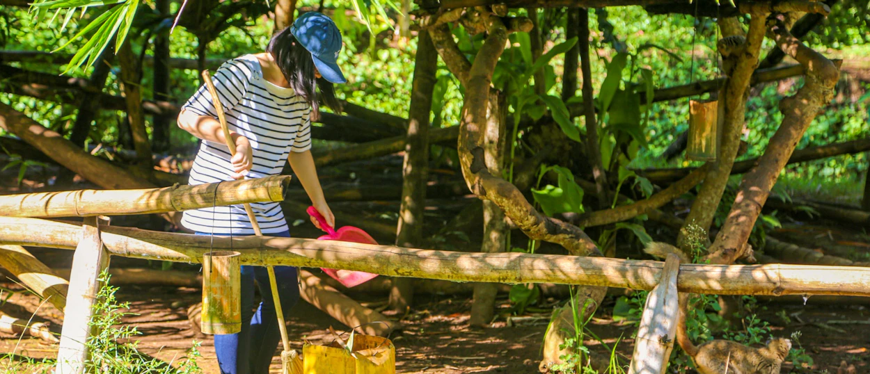 A person in a blue cap cleans an animal enclosure with a broom, a small lemur nearby.