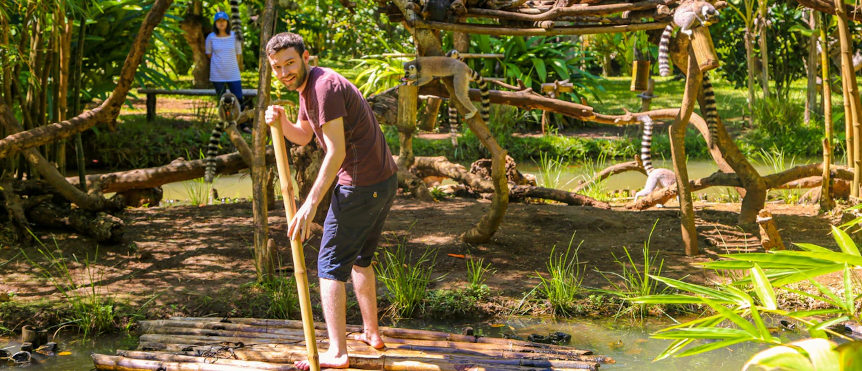 A man poles a wooden raft past ring-tailed lemurs in a lush tropical sanctuary in Madagascar.