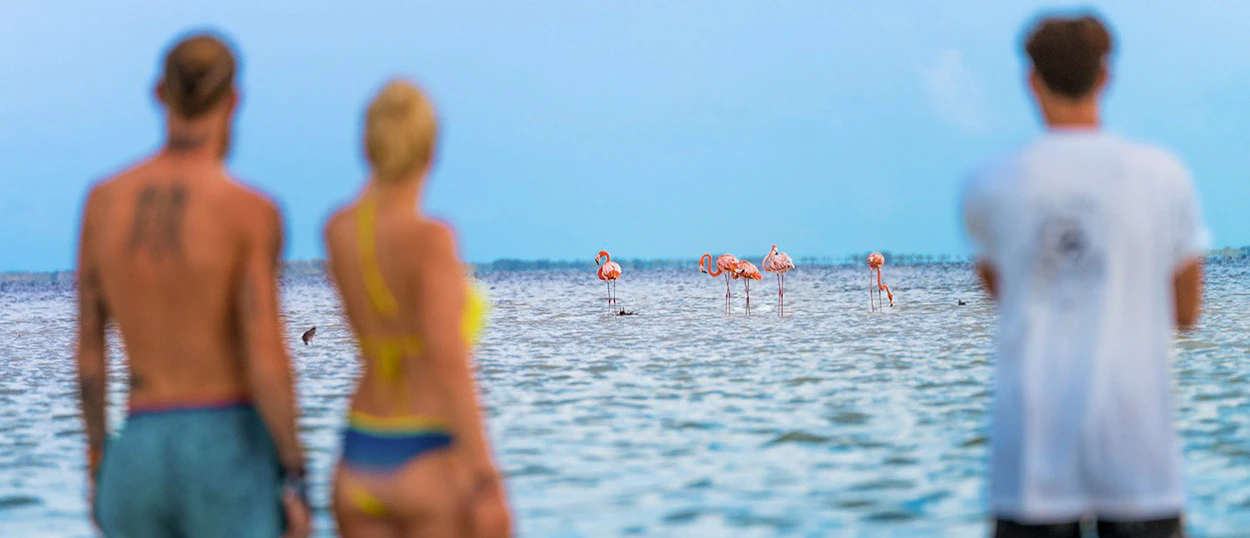 Boat tour around Isla Holbox, Mexico