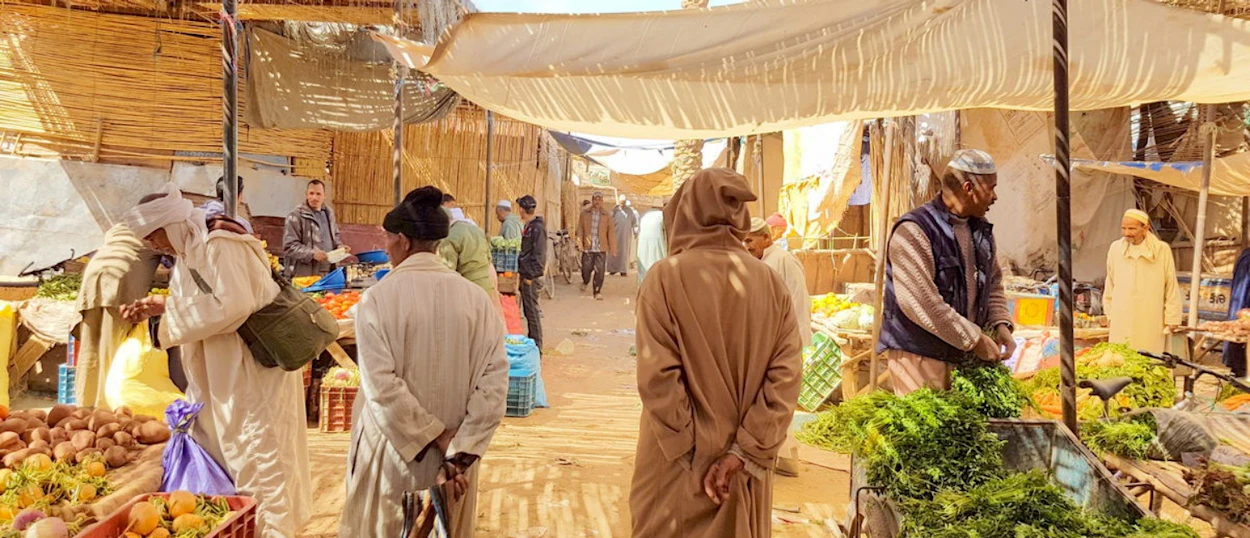 Bustling Rissani Market scene with people in traditional attire browsing fresh produce under shaded stalls.