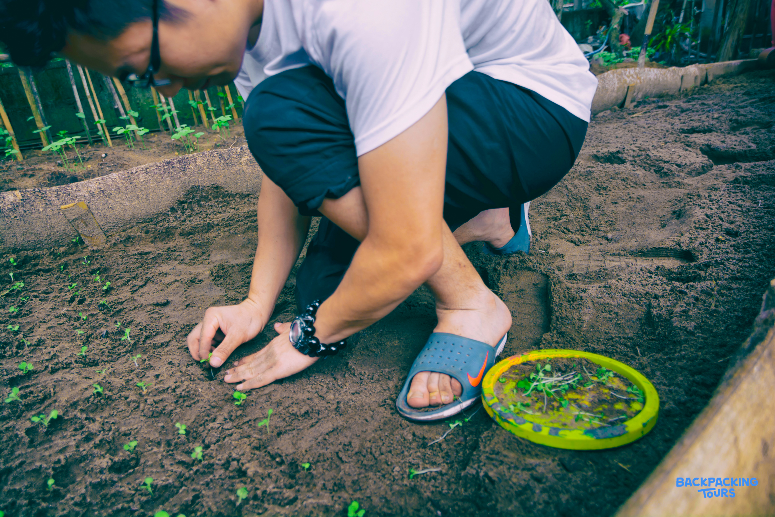 A volunteer in the Philippines carefully plants small green seedlings into rich soil for conservation.