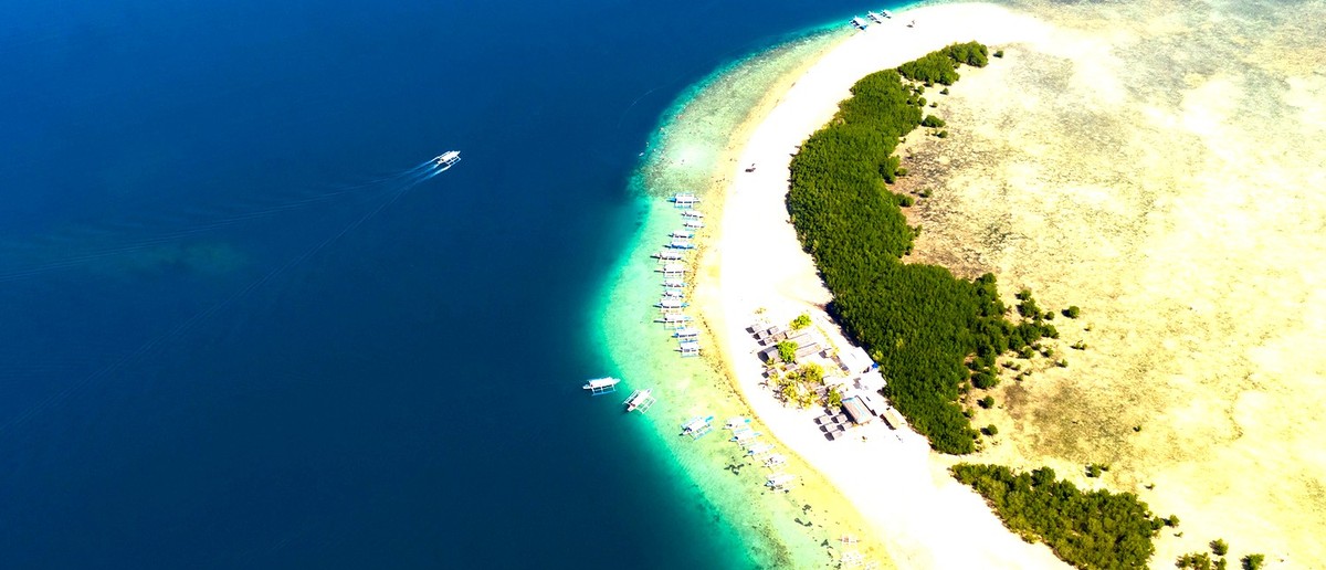 A sandbar covered in starfish in the shallow water near Puerto Princesa.