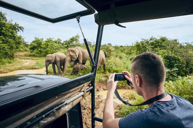 Beach & Safari: Sri Lanka