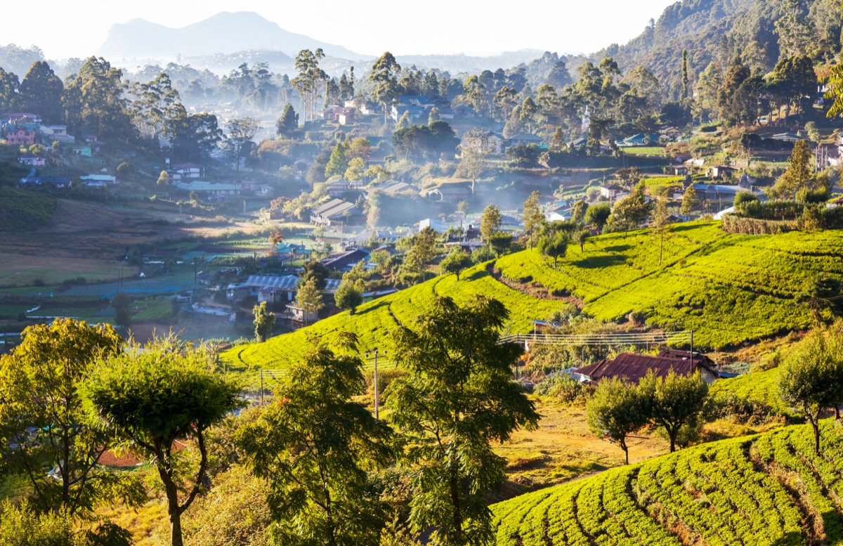 Construction & Renovation: Sri Lanka