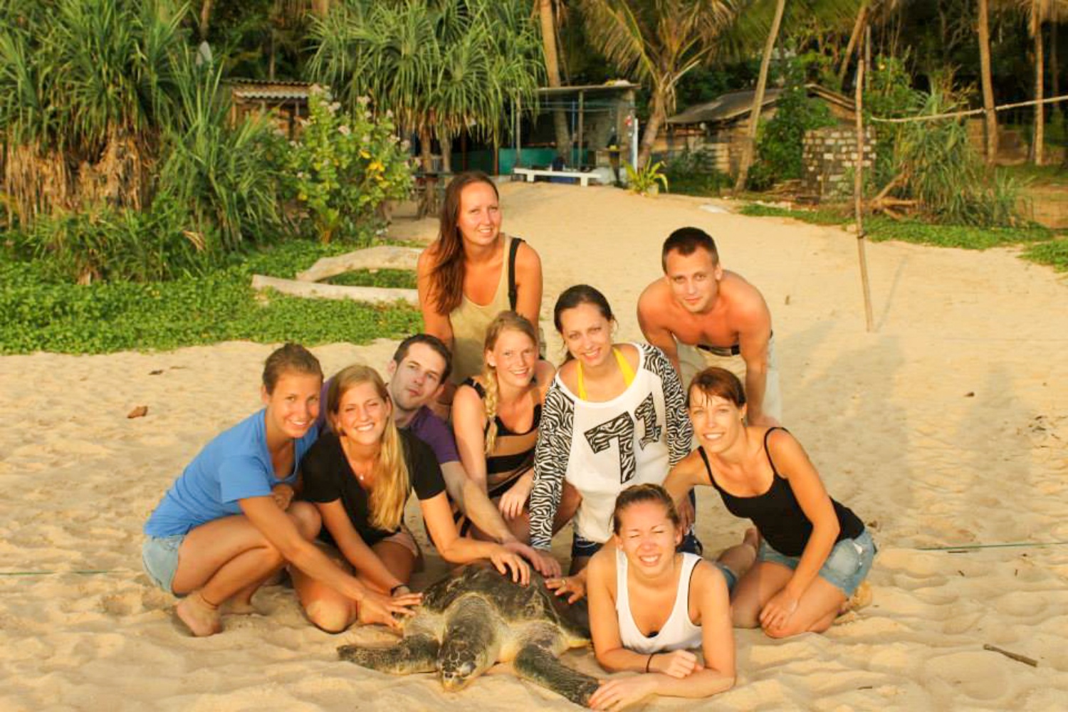 Smiling tourists gathered around a sea turtle on a tropical beach in Sri Lanka.