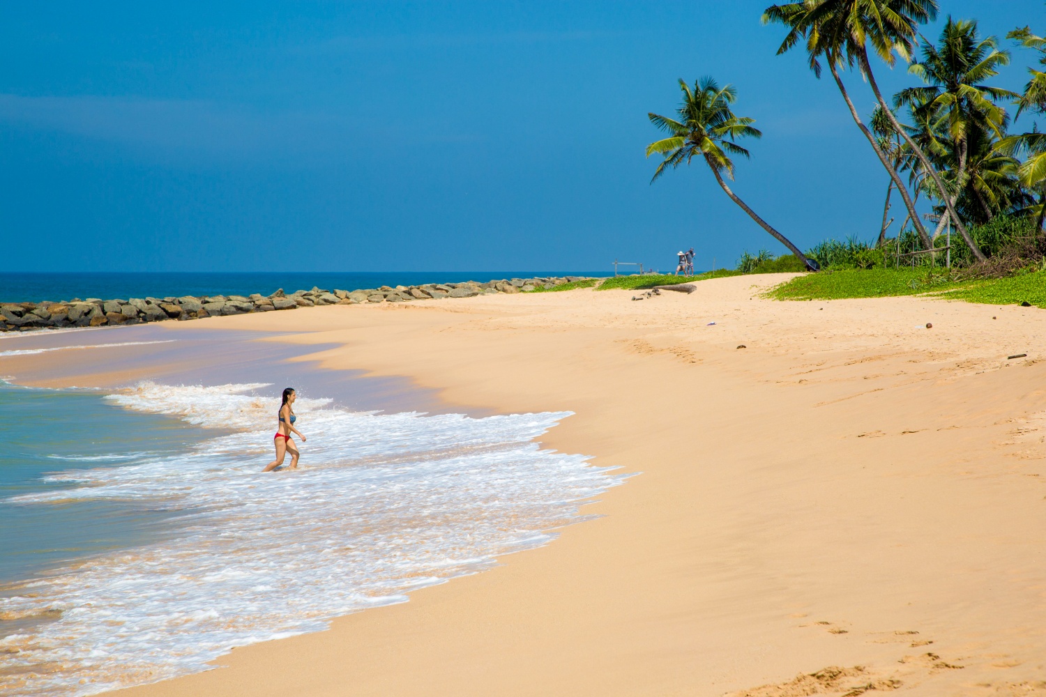 Turtle Conservation: Sri Lanka