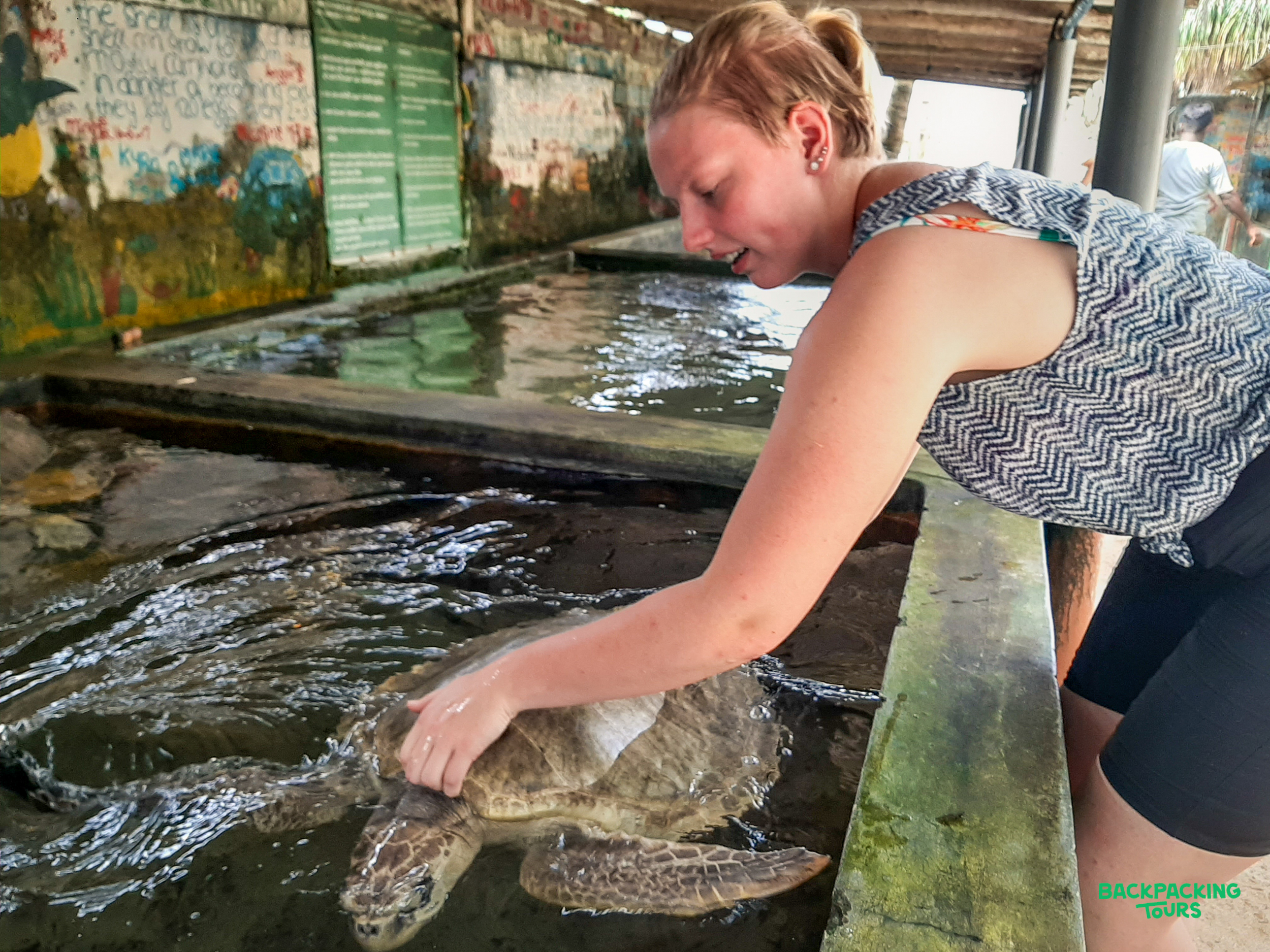 A woman gently cares for a sea turtle in a shallow pool at a Sri Lankan conservation center.