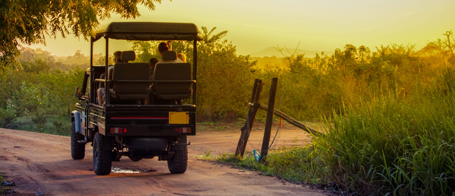 People in a safari jeep driving on a dirt road through lush Sri Lankan countryside at sunset.