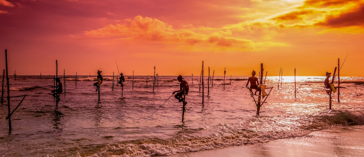 Stilt fishermen perch on wooden poles in the ocean at sunset, a traditional scene in Sri Lanka.