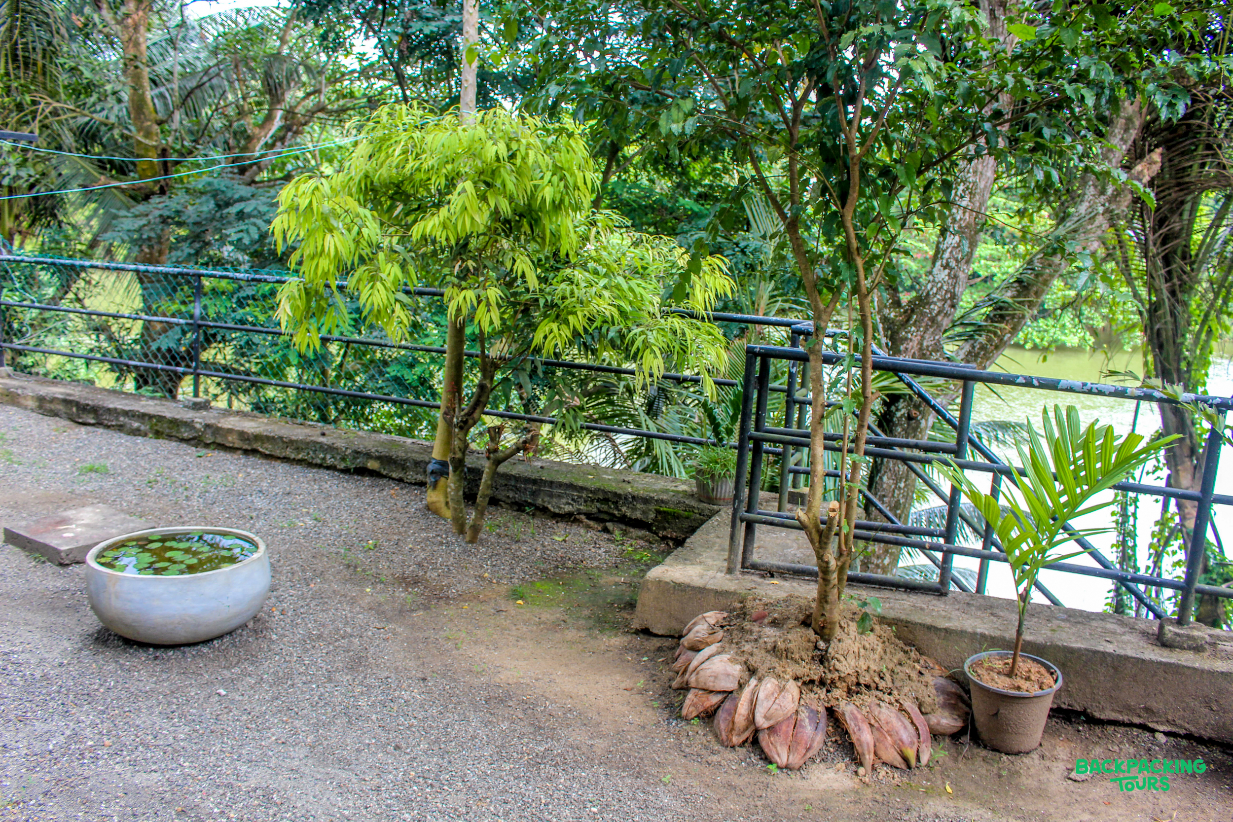 Peaceful garden in Sri Lanka's lush countryside, offering a tranquil river view.