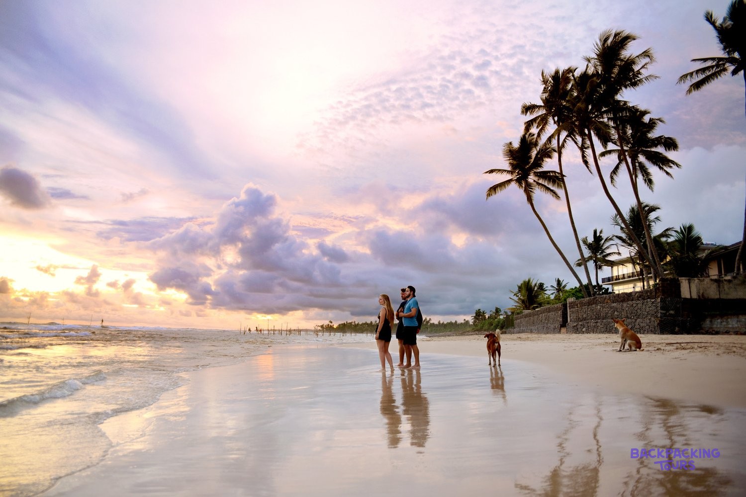 Golden sand and warm water on the Sri Lankan coast