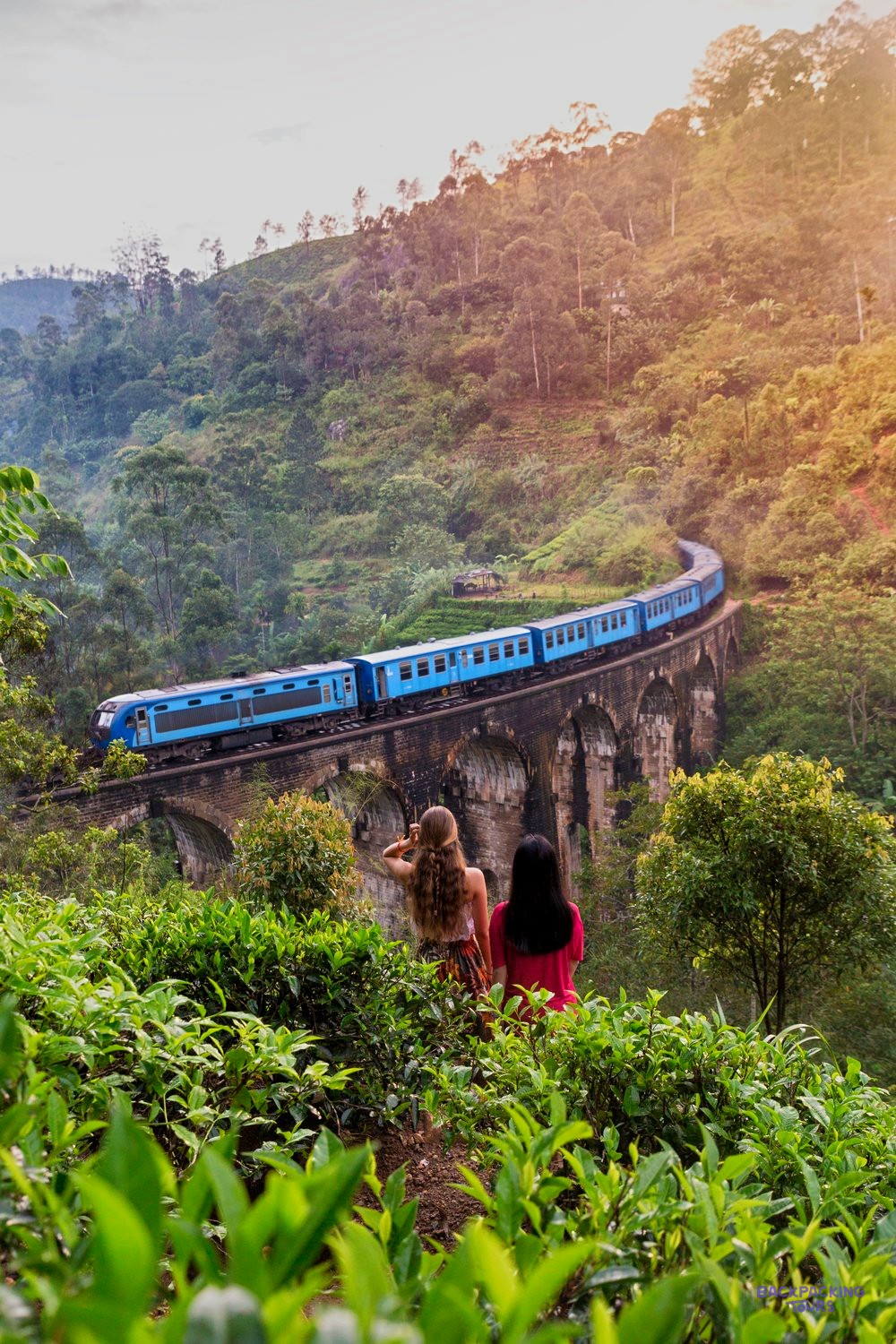 The Ella train crossing a hillside bridge