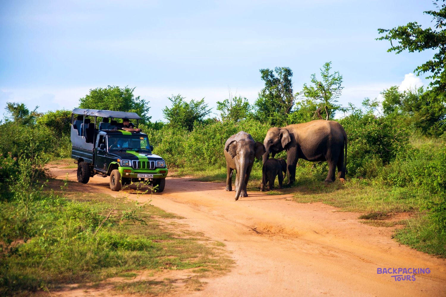 Safari jeep in Udawalawe National Park