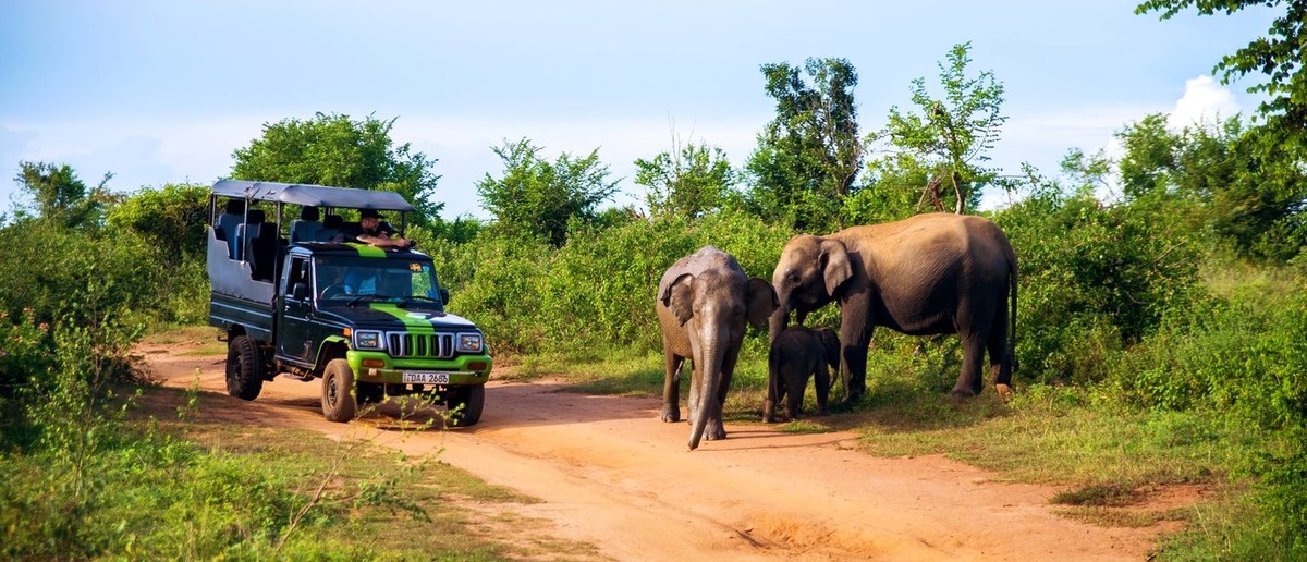 Safari jeep in Udawalawe National Park