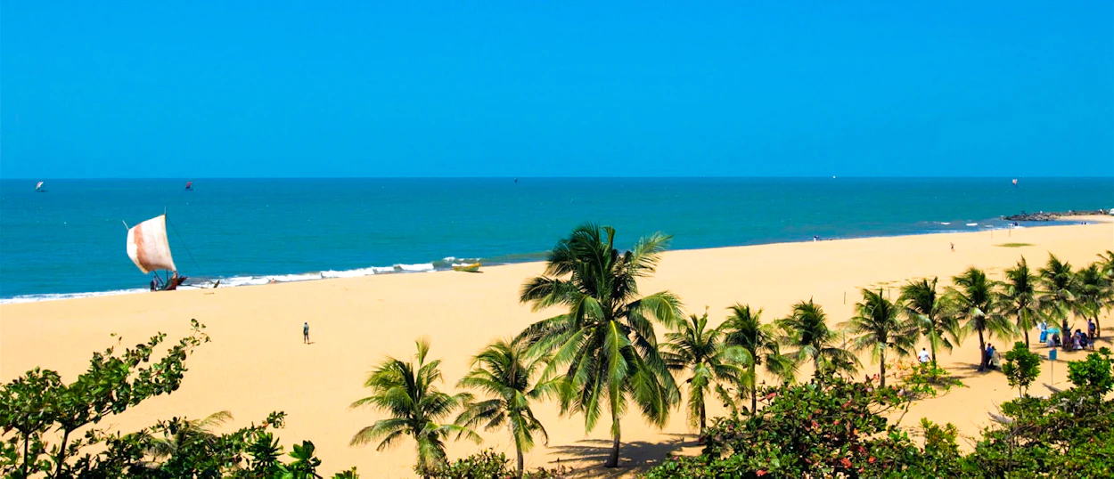 Weligama beach features golden sand, lush palm trees, and a traditional sailboat on the calm blue sea.