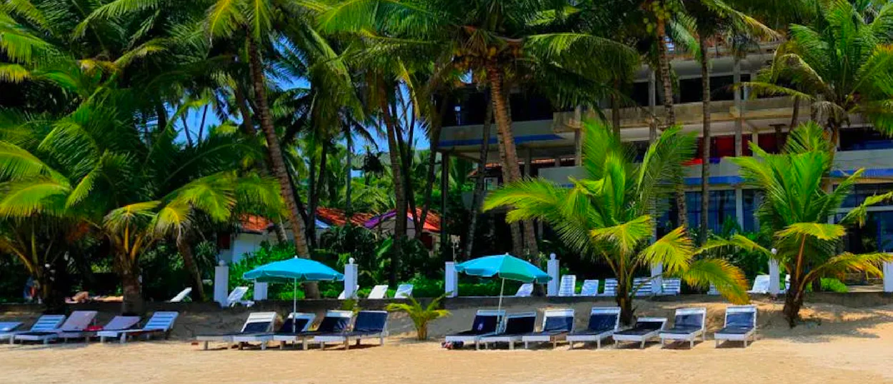 Tropical Weligama beach with rows of lounge chairs, blue umbrellas, and swaying palm trees.