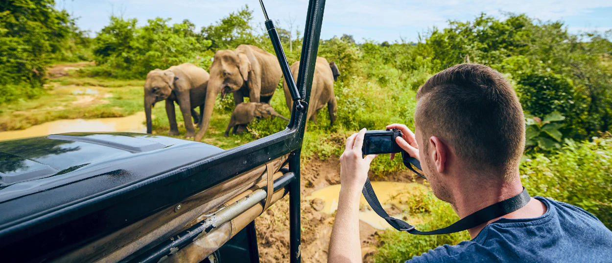 Tourist in a safari jeep captures a family of elephants, including a calf, in Udawalawe National Park.